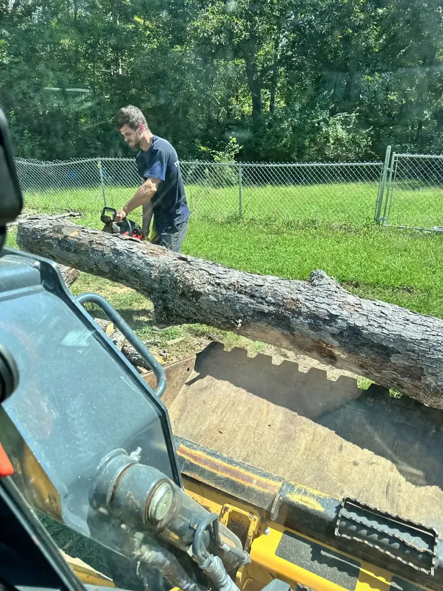 Cutting up a downed tree with a chainsaw