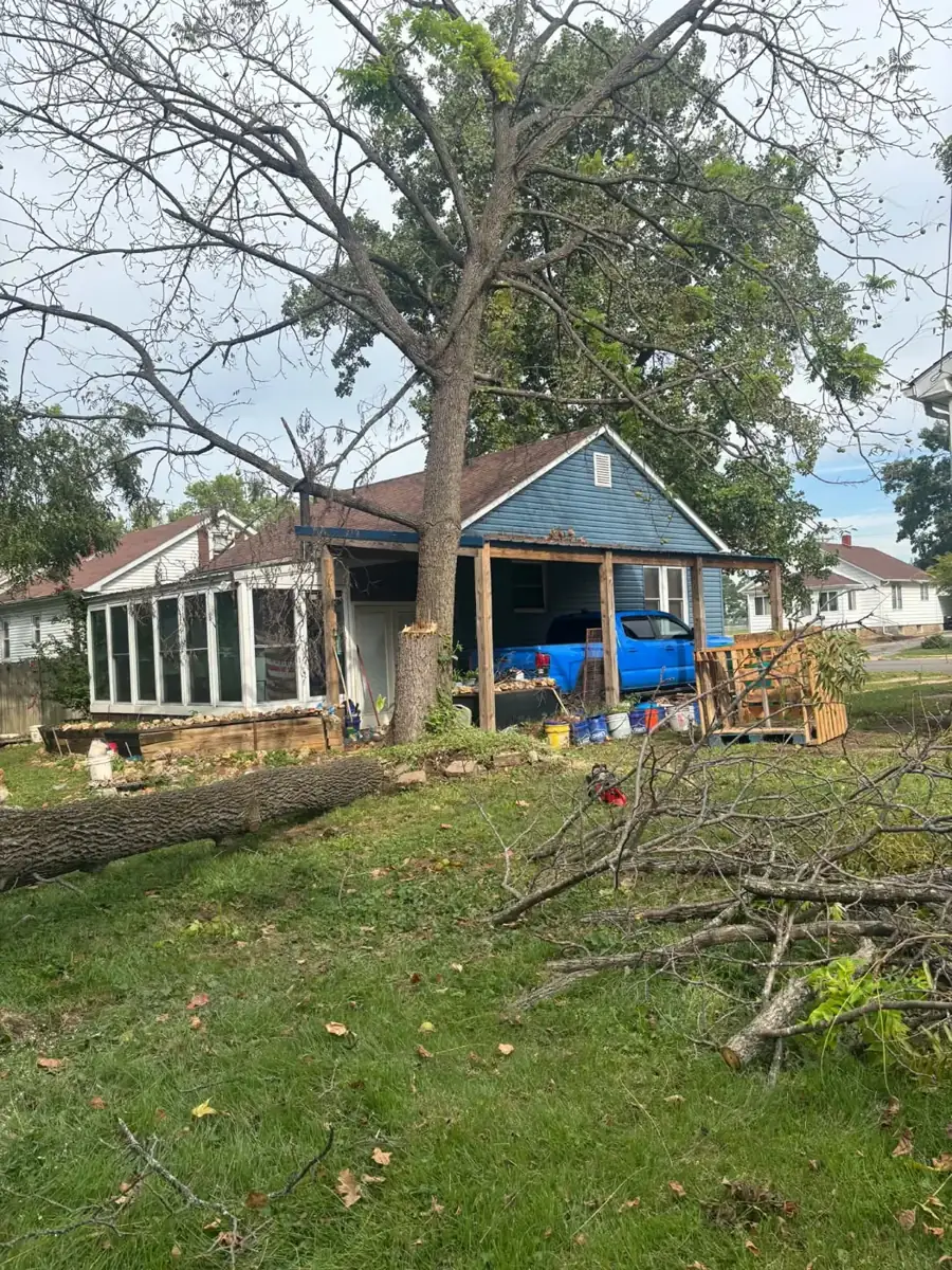 Fallen tree cleanup next to a house