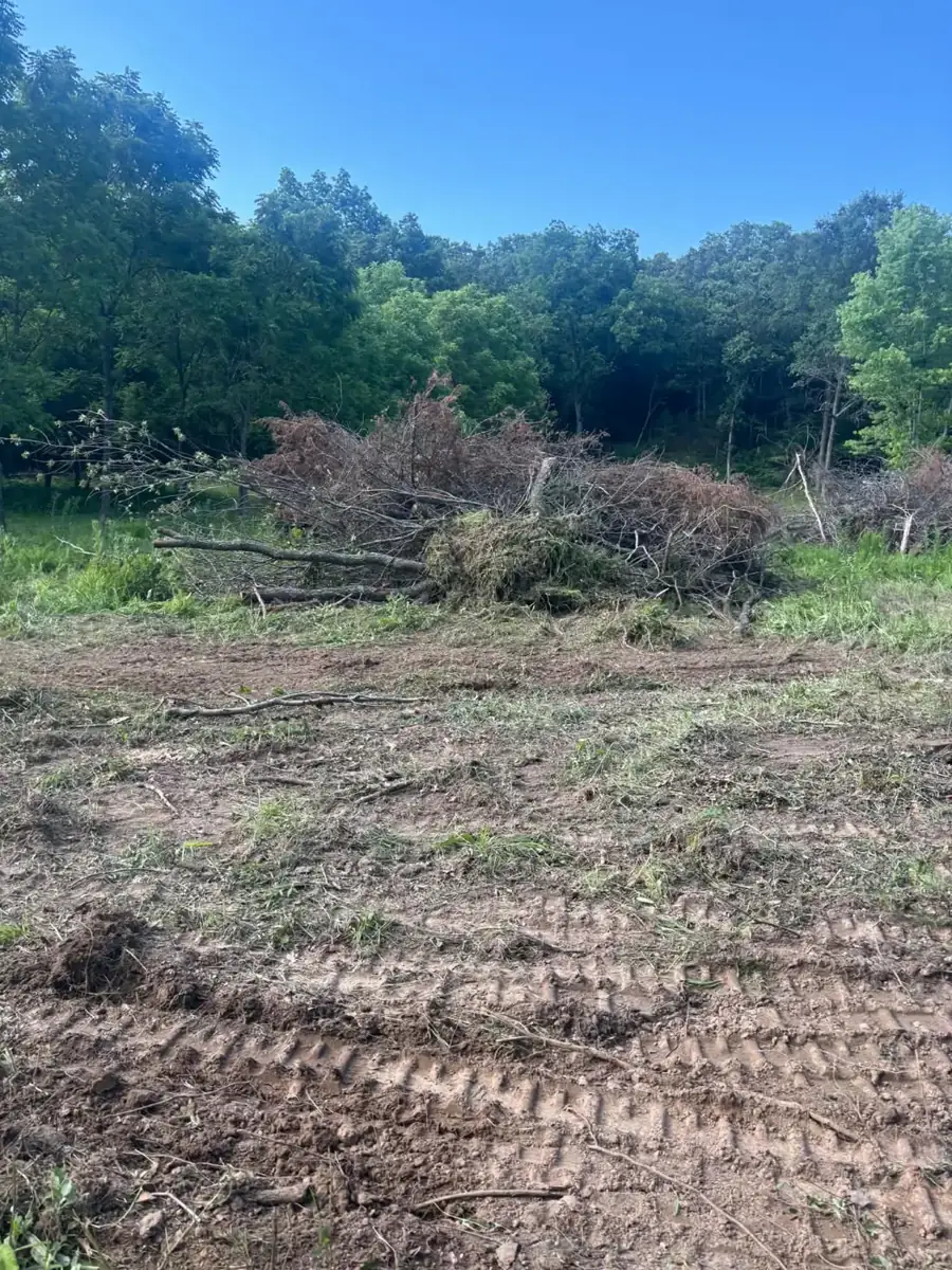 Land Clearing & Brush Hogging by MJB Landscaping
